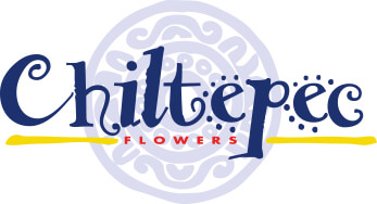 chiltepec logo